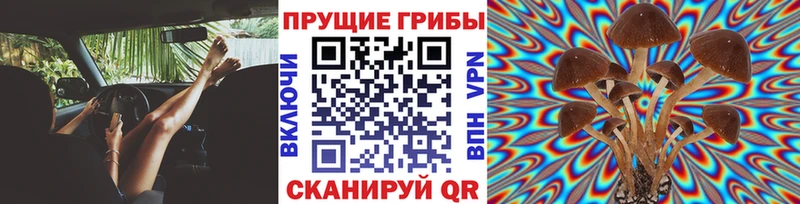 Галлюциногенные грибы ЛСД  что такое   Бавлы 